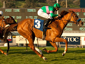 Cozi Rosie Heads Well-Matched Santa Barbara Cozi Rosie Heads Well-Matched Santa Barbara