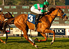 Cozi Rosie Heads Well-Matched Santa Barbara Cozi Rosie Heads Well-Matched Santa Barbara