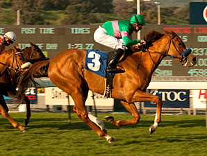 Long Layoff No Problem for Cozi Rosie Long Layoff No Problem for Cozi Rosie