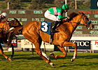 Long Layoff No Problem for Cozi Rosie Long Layoff No Problem for Cozi Rosie