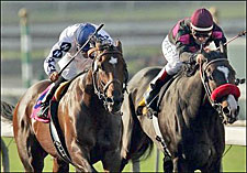 Hendricks' Cozy Guy Wins Cal Cup Classic Hendricks' Cozy Guy Wins Cal Cup Classic