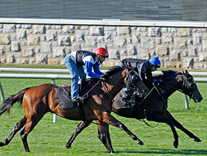 Wesley A. Ward Saddles 1,000th Winner Wesley A. Ward Saddles 1,000th Winner