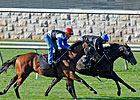 Wesley A. Ward Saddles 1,000th Winner Wesley A. Ward Saddles 1,000th Winner