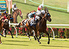 Del Mar Shifting Turf Races After Breakdowns Del Mar Shifting Turf Races After Breakdowns