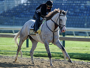 Romans Seeks 2nd Preakness Win With Cozzetti Romans Seeks 2nd Preakness Win With Cozzetti