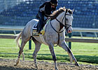 Romans Seeks 2nd Preakness Win With Cozzetti Romans Seeks 2nd Preakness Win With Cozzetti