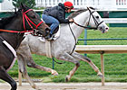 Haskin's Preakness Report: Cozzene and Nerud Haskin's Preakness Report: Cozzene and Nerud