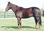 Crafty Prospector Dead at 31 Crafty Prospector Dead at 31