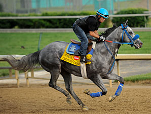 Creative Cause a Big Deal for Breeder Weigel Creative Cause a Big Deal for Breeder Weigel
