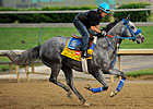Creative Cause a Big Deal for Breeder Weigel Creative Cause a Big Deal for Breeder Weigel