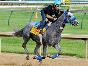 Trainer: No Plans to Scratch Creative Cause Trainer: No Plans to Scratch Creative Cause