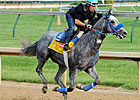 Trainer: No Plans to Scratch Creative Cause