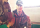 Airdrie Reports First Foal for Creative Cause Airdrie Reports First Foal for Creative Cause