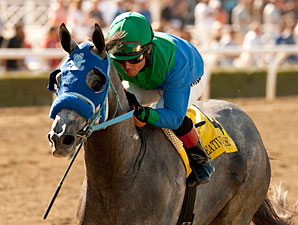 Harrington 3YOs Both Expected for San Felipe Harrington 3YOs Both Expected for San Felipe