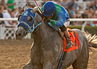 Blinkers Off Creative Cause For SA Derby