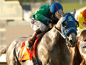Creative Cause Works 5 Furlongs at Hollywood Creative Cause Works 5 Furlongs at Hollywood