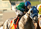 Creative Cause Works 5 Furlongs at Hollywood 