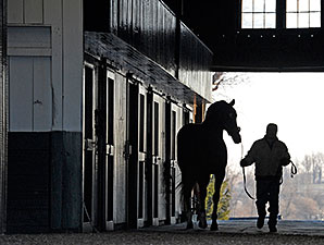 Crestwood Farm to Stand Bullet Train Crestwood Farm to Stand Bullet Train
