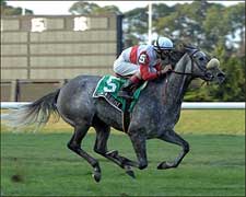 Criminologist Stays on Winning Trail in Athenia Frolic Criminologist Stays on Winning Trail in Athenia Frolic