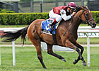 Criticism Tries to Continue Roll in NY 'Cap