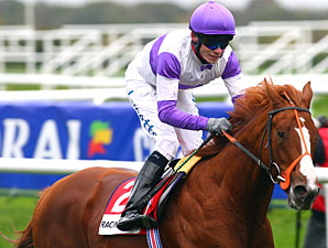 Crowded House a Euro Classic Hopeful Crowded House a Euro Classic Hopeful