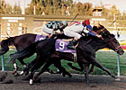 Prominent Sire Cryptoclearance Dies at Age 25 Prominent Sire Cryptoclearance Dies at Age 25