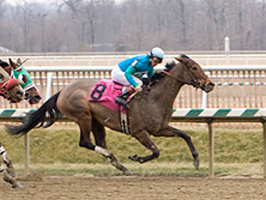 Ohio Divisional Champions Announced Ohio Divisional Champions Announced