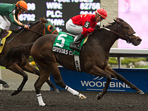 10 Juvenile Fillies to Try Princess Elizabeth 10 Juvenile Fillies to Try Princess Elizabeth