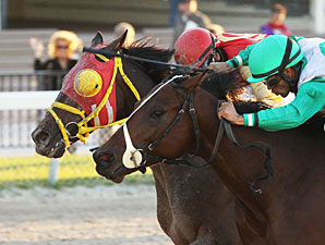 Csaba, Ducduc Make Hooper Too Close to Call Csaba, Ducduc Make Hooper Too Close to Call