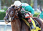 Csaba Successful in Fred Hooper Defense Csaba Successful in Fred Hooper Defense