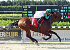 Speedy Field Entered in Salvator Mile Speedy Field Entered in Salvator Mile