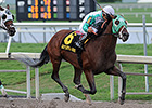 Csaba Runs Like Old Self in Skip Trial Stakes Csaba Runs Like Old Self in Skip Trial Stakes