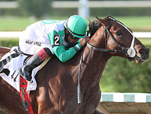 Csaba Looks for Another Calder Stakes Win Csaba Looks for Another Calder Stakes Win