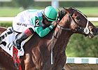 Csaba Looks for Another Calder Stakes Win Csaba Looks for Another Calder Stakes Win