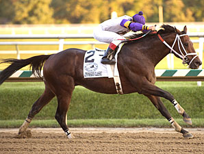 Maryland Million Classic: Cuba All Alone Maryland Million Classic: Cuba All Alone