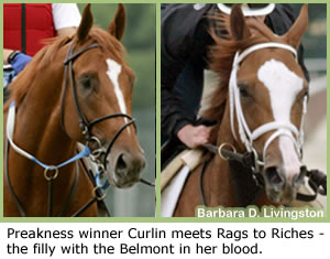 Steve Haskin's Belmont Report: Curlin vs. Rags Has Belmont Abuzz Steve Haskin's Belmont Report: Curlin vs. Rags Has Belmont Abuzz