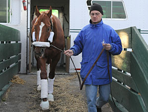 Curlin Ships Back to Belmont from Dubai Curlin Ships Back to Belmont from Dubai