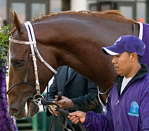 Stonestreet Controls 80% of Curlin Stonestreet Controls 80% of Curlin
