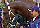 Stonestreet Controls 80% of Curlin