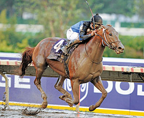 Horse of the Year Curlin Races On Horse of the Year Curlin Races On