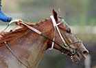 Midnight Cry's Interest in Curlin Intact, Attorney Claims Midnight Cry's Interest in Curlin Intact, Attorney Claims