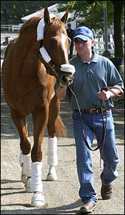Seven Entered for Saturday's Belmont Seven Entered for Saturday's Belmont