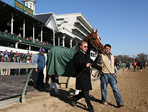 Curlin Bids Farewell at Churchill Downs Curlin Bids Farewell at Churchill Downs
