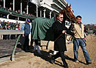 Curlin Bids Farewell at Churchill Downs