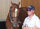 Curlin Schools for Stephen Foster