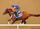 Curlin Works Half-Mile in Dubai Curlin Works Half-Mile in Dubai