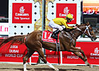 Curlin Could Face Einstein in Foster Curlin Could Face Einstein in Foster