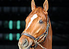 Curlin to Gulfstream Before Dubai