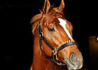 U.S.-Based Horses Rank High on List U.S.-Based Horses Rank High on List