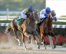 Curlin Edges Lawyer Ron in Gold Cup Thriller Curlin Edges Lawyer Ron in Gold Cup Thriller